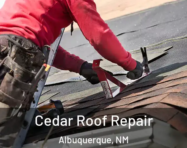  Cedar Roof Repair Albuquerque, NM