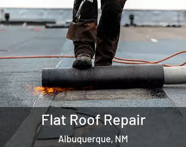  Flat Roof Repair Albuquerque, NM