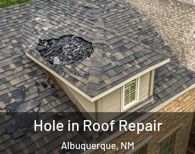  Hole in Roof Repair Albuquerque, NM