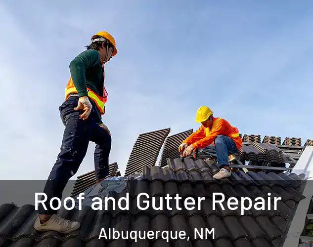  Roof and Gutter Repair Albuquerque, NM