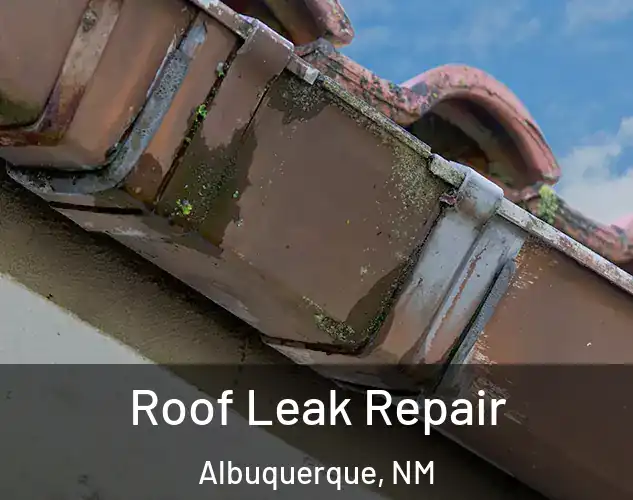  Roof Leak Repair Albuquerque, NM