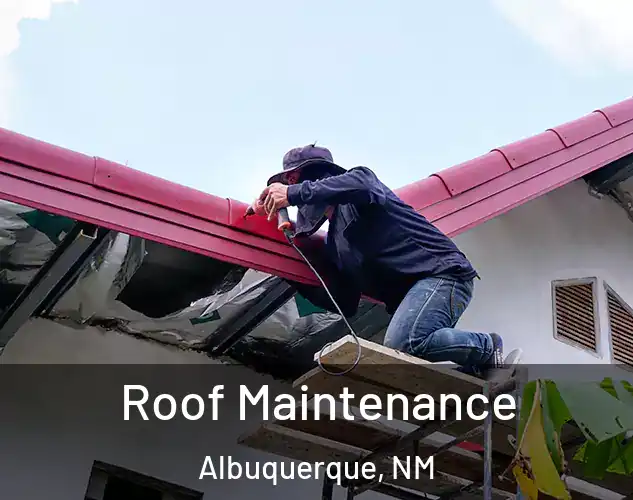  Roof Maintenance Albuquerque, NM