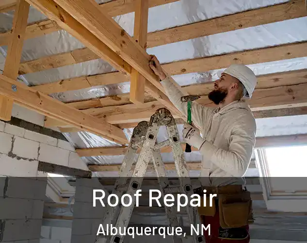  Roof Repair Albuquerque, NM