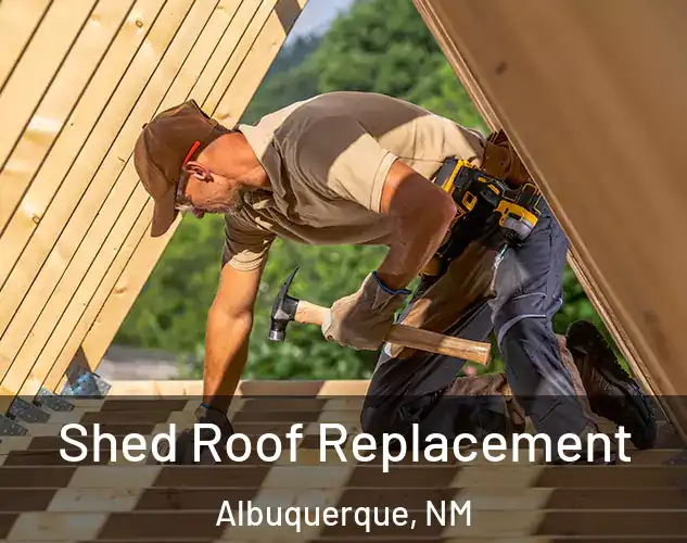  Shed Roof Replacement Albuquerque, NM