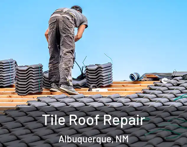  Tile Roof Repair Albuquerque, NM