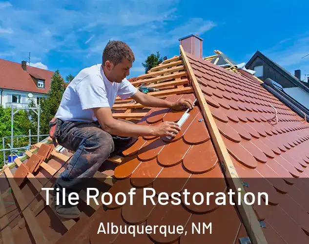  Tile Roof Restoration Albuquerque, NM